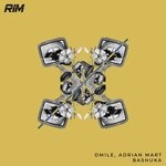 cover: Adrian Mart|Dmile - Bashuka