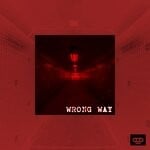 cover: Damir Pushkar - Wrong Way