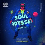 cover: Darien|Hallex M - Bring Back The Sun (Opolopo Remix)