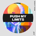 cover: Mesa & Boss - Push My Limits