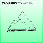 cover: Mr. Calazans - Why Don't You (Kaya Remix)