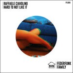 cover: Raffaele Ciavolino - Hard To Not Like It