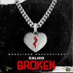 cover: Calico - Broken