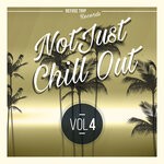 cover: Pablo Raster|Various - Not Just Chill Out Vol 4