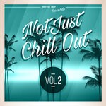 cover: Esa Aka El Presidente|Various - Not Just Chill Out Vol 2