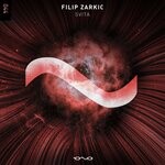 cover: Filip Zarkic - Svita