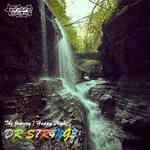 cover: Dr S7r4ng3 - The Journey/Happy Flight