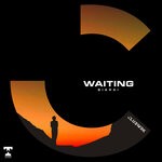 cover: Biarai - Waiting