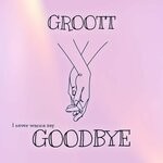 cover: Groott - Goodbye (Original Mix)