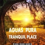 cover: Aguas Pura - Tranquil Place