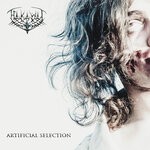 cover: Hakawai - Artificial Selection