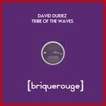 cover: David Duriez - Tribe Of The Waves