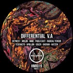 cover: Various - Differential II