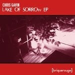 cover: Chris Gavin - Lake Of Sorrow