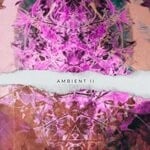 cover: Various - Ambient II