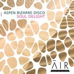 cover: Aspen Bizarre Disco - Soul Delight