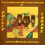 cover: Philip Tabane & His Malombo Jazzman - The Indigenous Afro-Jazz Sounds Of