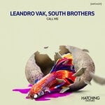 cover: Leandro Vak - Call Me