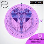 cover: Toti Andaloro - No Sleep