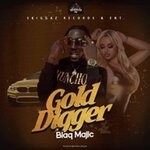 cover: Blaq Majic|Skiggaz - Gold Digger