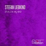 cover: Stefan Liebkind - Devils In My Head