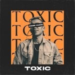 cover: Ander Huang - Toxic