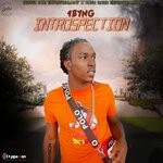 cover: 1byng - Introspection