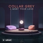 cover: Collar Grey - I Want Your Love