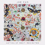 cover: Joe Pug - Nation Of Heat