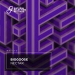 cover: Biggoose - Nectar