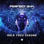 cover: Perfect Ohm - Hold Your Ground