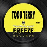 cover: Todd Terry - Here We Go Again