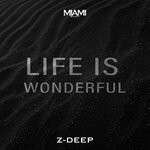 cover: Z-deep - Life Is Wonderful (Original Mix)