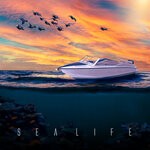 cover: Berkay Sokur - Sea Life