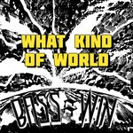 cover: Rico Tubbs - What Kind Of World