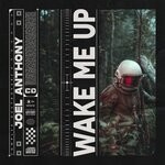 cover: Joel Anthony - Wake Me Up