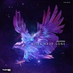 cover: Loki System - Kites Have Gone