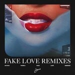 cover: Nomeli - Fake Love (Remixes)