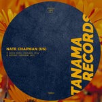 cover: Nate Chapman (us) - Disco Rock