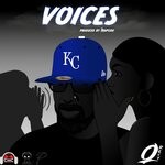 cover: Q Revy - Voices