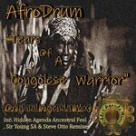 cover: Afrodrum - Tears Of A Congolese Warrior (Remixes)