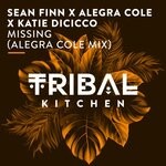 cover: Sean Finn|Alegra Cole|Katie Dicicco - Missing (Alegra Cole Radio Edit)