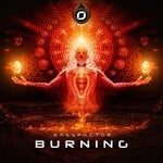 cover: Bassfactor - Burning