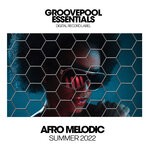 cover: Various - Afro Melodic Summer 2022