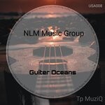 cover: Tp Muziq - Guiter Oceans