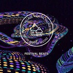 cover: Various - Festival Beats