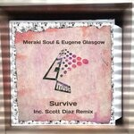 cover: Eugene Glasgow|Meraki Soul - Survive