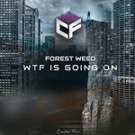 cover: Forest Weed - Wtf Is Going On