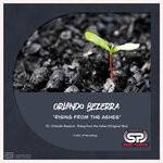 cover: Orlando Bezerra - Rising From The Ashes