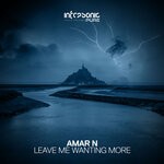 cover: Amar N - Leave Me Wanting More